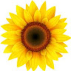 Meet your Posher, Josephine